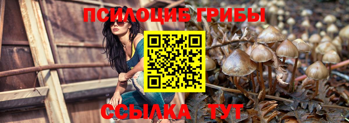Стрежевой  Псилоцибиновые грибы Magic Shrooms  Вход с VPN 